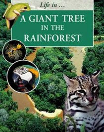 A Giant Tree in the Rainforest (Life in a ...)
