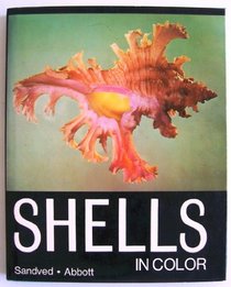 Shells in Color