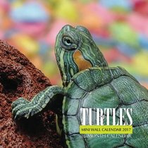 Turtles Mini Wall Calendar 2017: 16 Month Calendar