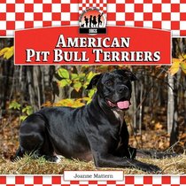 American Pit Bull Terriers (Dogs)