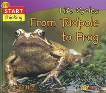 Life Cycles:  From Tadpole to Frog (Start Thinking)