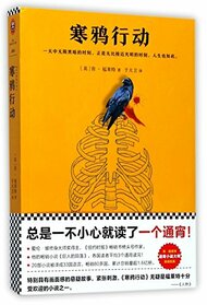 Jackdaws (Chinese Edition)
