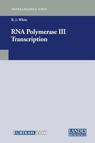 Rna Polymerase III