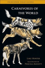 Carnivores of the World (Princeton Field Guides)
