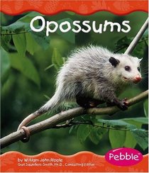 Opossums (Pebble Books)