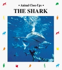 The Shark: Silent Hunter (Animal Close-Ups)