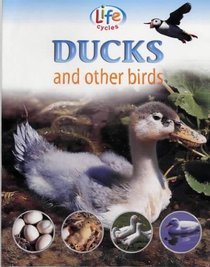 Ducks and Other Birds (Life Cycles)
