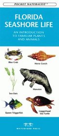 Florida Seashore Life: An Introduction to Familiar Plants and Animals (Pocket Naturalist)