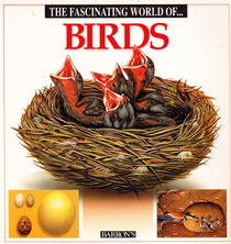 The Fascinating World of Birds (The Fascinating World Series)