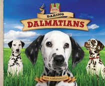 Daring Dalmatians (Super Sandcastle: Dog Daze Set 2)
