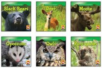 Animals That Live in the Forest Complete Series