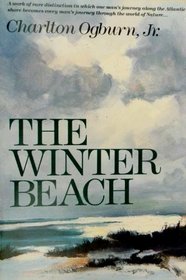 The Winter Beach