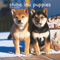 Shiba Inu Puppies 2008 Mini Wall Calendar