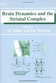 Brain Dynamics and the Striatal Complex (Conceptual Advances in Brain Research)