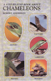 A Step By Step Book About Chameleons