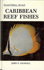 Caribbean Reef Fishes