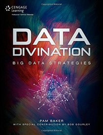 Data Divination: Big Data Strategies