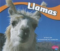 Llamas (Pebble Plus)