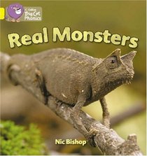 Real Monsters: Yellow/Band 3 (Collins Big Cat Phonics)