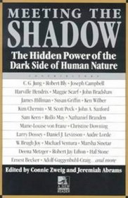 Meeting the Shadow (New Consciousness Reader)