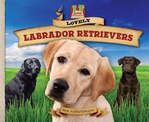 Lovely Labrador Retrievers (Dog Daze)