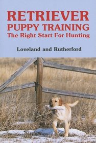 Retriever Puppy Training: The Right Start for Hunting