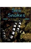 Sea Snakes (Pebble Books)