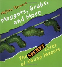 Maggots, Grubs, And More : The Secret Lives of Young Insects