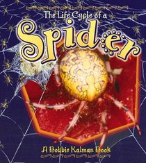 The Life Cycle of a Spider (The Life Cycle)