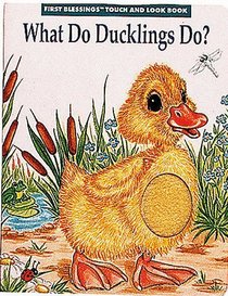 What Do Ducklings Do? (First Blessings Touch and Look Book)