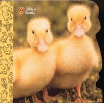 Ducklings Quack (Little Nugget)
