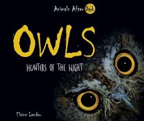 Owls: Hunters of the Night (Animals After Dark)