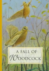 A Fall of Woodcock