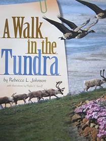 A Walk In The Tundra