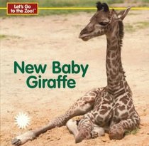 New Baby Giraffe (Let's Go To The Zoo!)