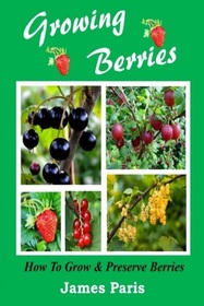 Growing Berries: How to Grow and Preserve Berries