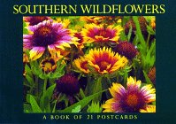 Southern Wildflowers