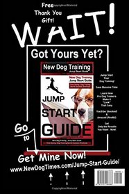 Labrador Retriever Training | Dog Training with the No BRAINER Dog TRAINER ~ We Make it THAT Easy! |: How To EASILY TRAIN Your Labrador Retriever (Volume 1)