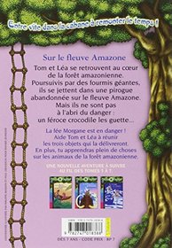 Sur Le Fleuve Amazone (French Edition)