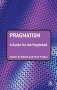 Pragmatism: A Guide for the Perplexed (Guides for the Perplexed)