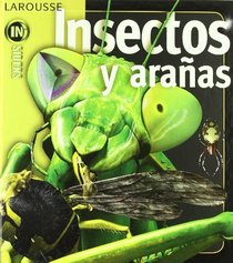 Insectos y aranas/ Insects and Spiders (Insiders) (Spanish Edition)