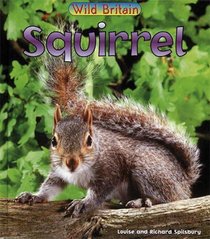 Squirrel: Guided Reading Pack (Wild Britain)