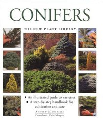 Conifers (The Little Plant Library Series)