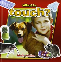 What Is Touch? (Senses Close-Up)