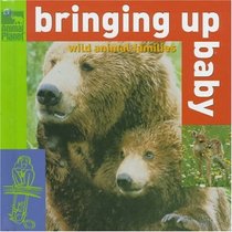 Bringing Up Baby: Wild Animal Families (Animal Planet)