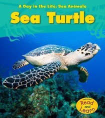 Sea Turtle (A Day in the Life: Sea Animals)