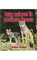 Baby Animals in Northern Forests (Habitats of Baby Animals)
