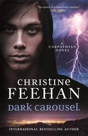 Dark Carousel (Dark, Bk 30)