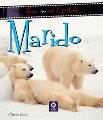 Como no ser el perfecto . . . Marido (Como No Ser . . .) (Spanish Edition)