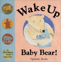 Wake Up Baby Bear!: A First Book About Opposites